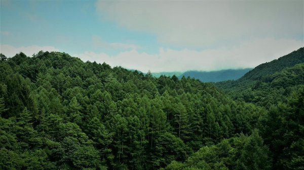Découvrir l'Influence des Émissions de CO2 sur le Changement Climatique